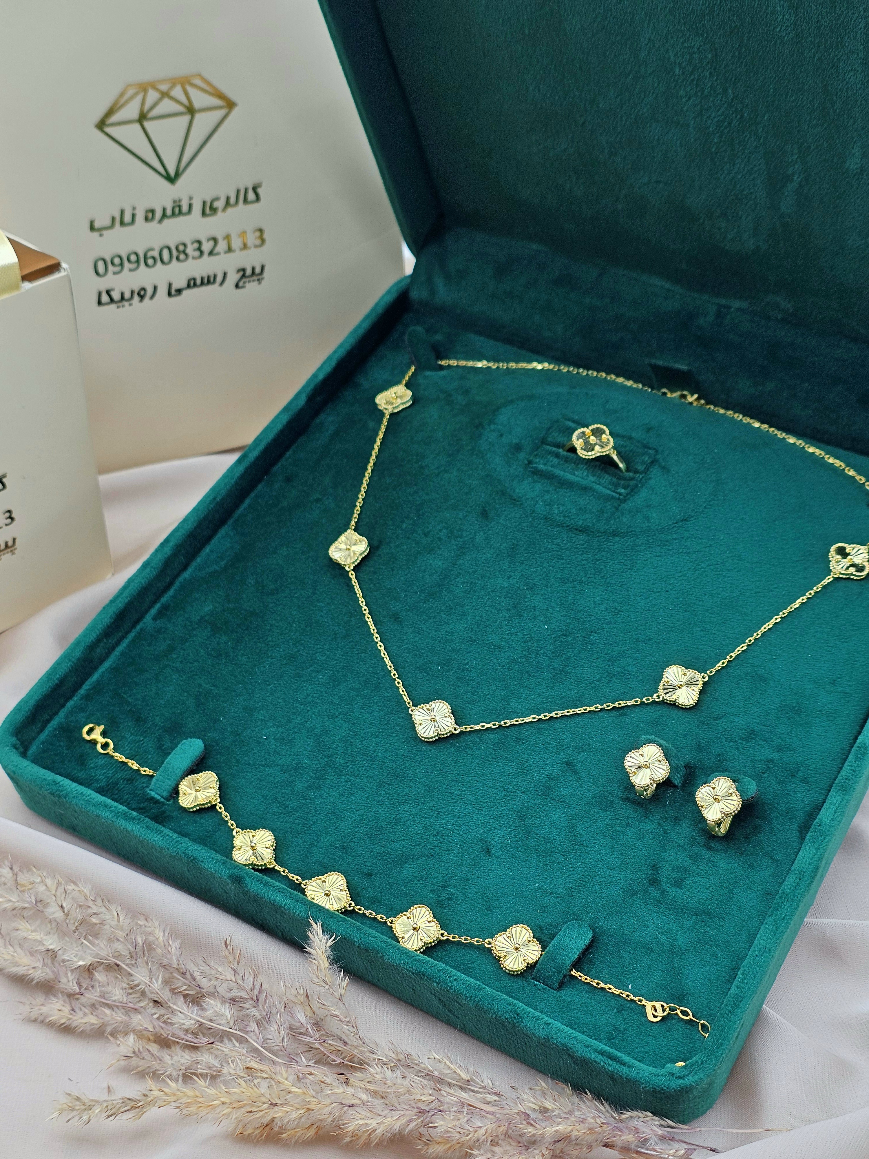 سرویس ونکلیف نقره