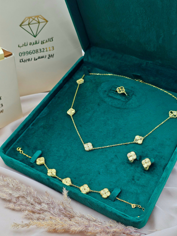 سرویس ونکلیف نقره